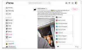 TikTok网页版最新地址设置方法