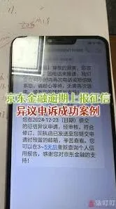 京东金条还款压力处理技巧