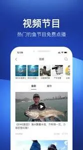 微信更新检测技巧指南