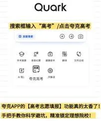 夸克艺术生