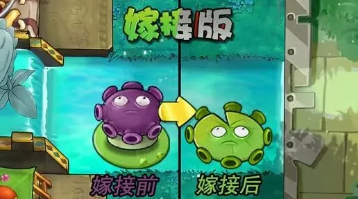 《植物大战僵尸》忧郁菇荷叶穿透孢子技能