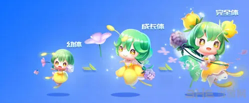 QQ飞车蝴蝶仙子进阶指南