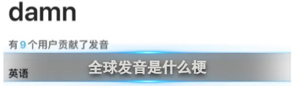 《网易有道词典》全球发音梗意思讲解