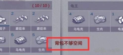 《阿瑞斯病毒》背包扩容技巧教程