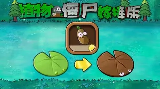 嫁接版咖啡豆荷叶攻略详解