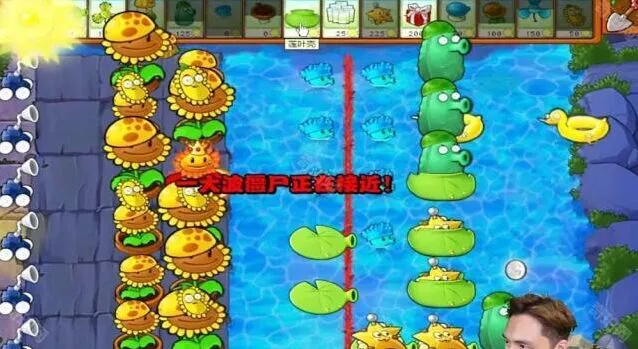植物大战僵尸攻略