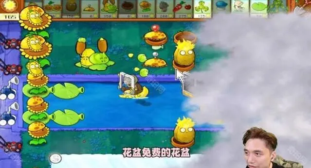 植物大战僵尸通关