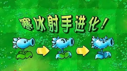 植物大战僵尸杂交版寒冰射手进化内容指南