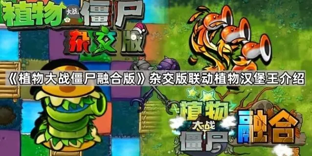 植物大战僵尸杂交版联动植物汉堡王全攻略