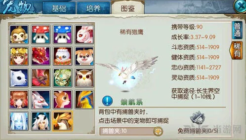 诛仙稀有猎鹰怎么获得 完整攻略