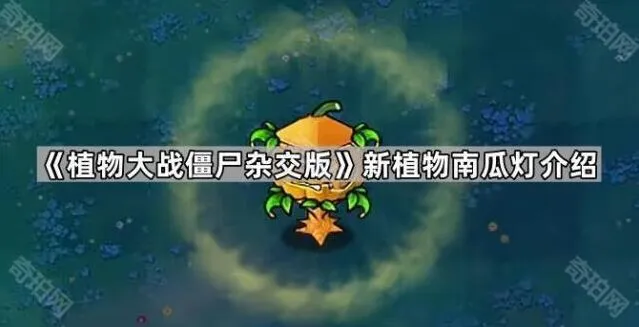 《植物大战僵尸》南瓜灯技能详解攻略