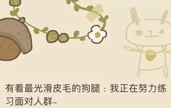 动物餐厅黑白君来信2任务攻略