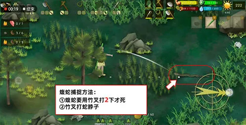 罗马尼亚高山蝮蛇捕捉攻略大全