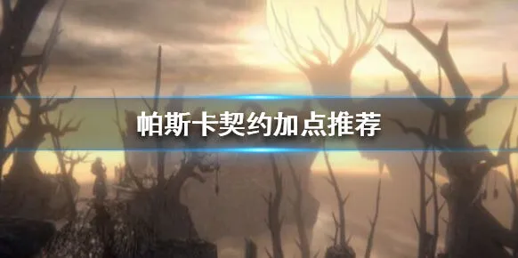 帕斯卡契约加点攻略 四大系加点推荐