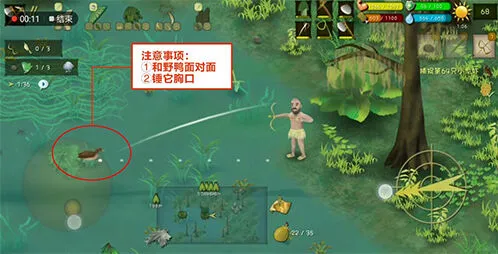 挨饿荒野沼泽丛林野鸭捕捉玩法