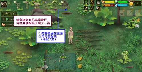 挨饿荒野鳄鱼捕捉指南与技巧分享