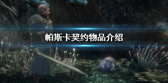 帕斯卡契约有哪些物品 道具介绍