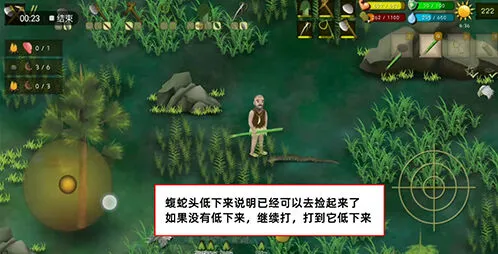挨饿荒野罗马尼亚