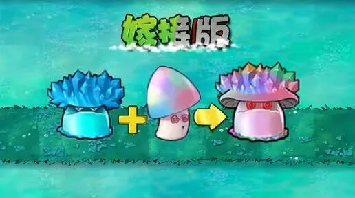 《植物大战僵尸》嫁接版魅惑寒冰菇全攻略