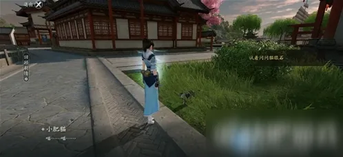 《遇见》洞中之人奇遇任务完整流程教程