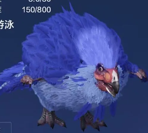 妄想山海翠鹞在哪抓 捕捉驯服全攻略