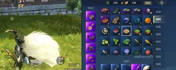 妄想山海长生果油获得方法指南