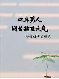 男生成熟稳重有内涵的微信昵称有哪些值得推荐的