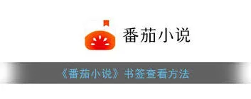 番茄小说影视小说