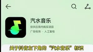 抖音汽水