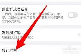 钉钉群主权限转移方法