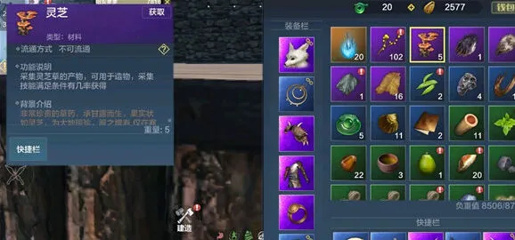 妄想山海灵芝能做什么 紫色药材系统指南