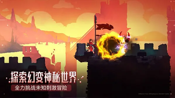 庇护所二细胞打法教程分享