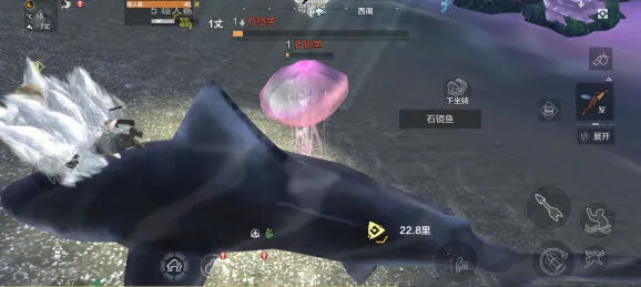 妄想山海石镜鱼捕捉孵化全攻略