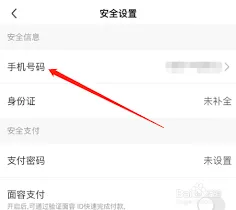 爱奇艺极速版手机号更改教程