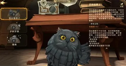 哈利波特魔法觉醒混血猫狸子获取攻略