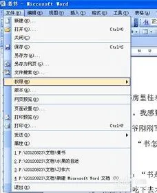 Word2010打印预览页边距设置完整教程
