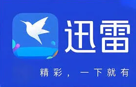 《迅雷》网盘官网入口详细说明