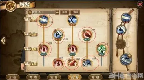 卡古培养攻略 航海王SR角色加点
