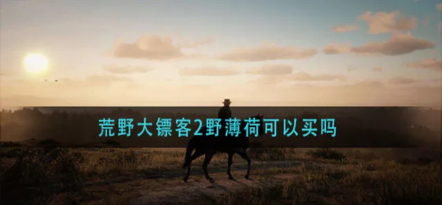 荒野大镖客2野薄荷可以买吗