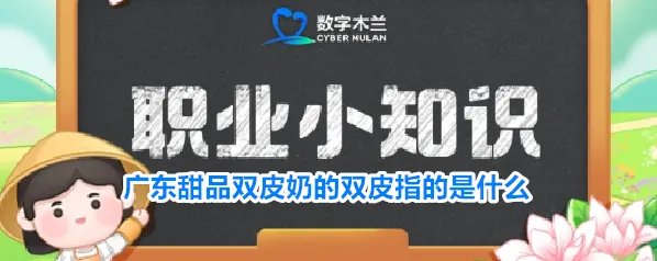 支付宝双皮