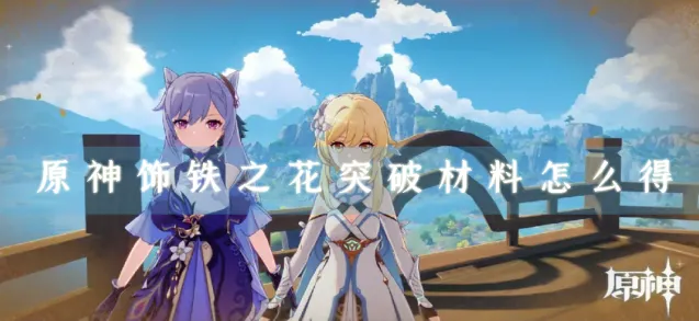 原神之花