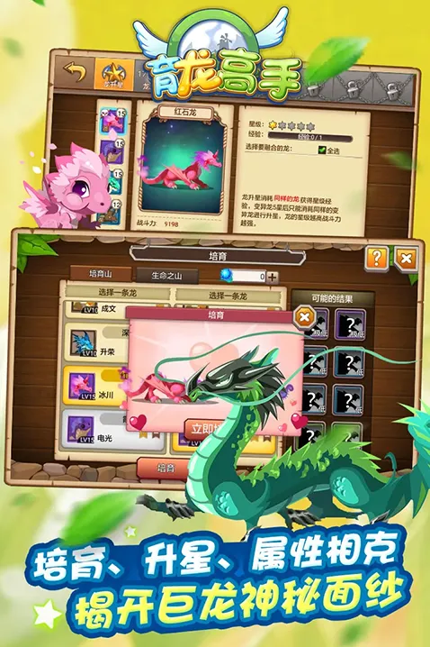 育龙高手战力