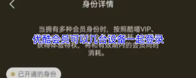 优酷会员可以几台设备一起登录