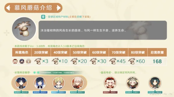 原神慕风蘑菇采集全攻略