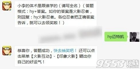 火影忍者每日一题 小李体术师徒关系解析