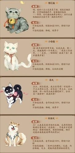 阴阳师宠物后院玩法详解 领养流程