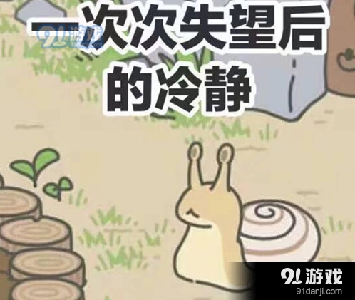 旅行青蛙蛙不回家原因 解决方法分享