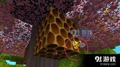 迷你世界蜜蜂养成全攻略