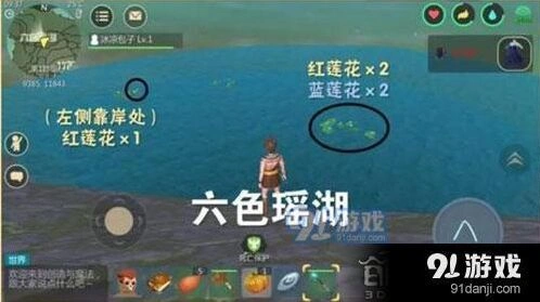 创造与魔法蓝莲花获取教程