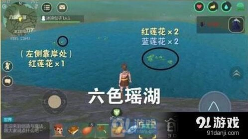 创造与魔法蓝莲花刷新点位置攻略
